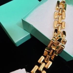 Heavy chain link bracet